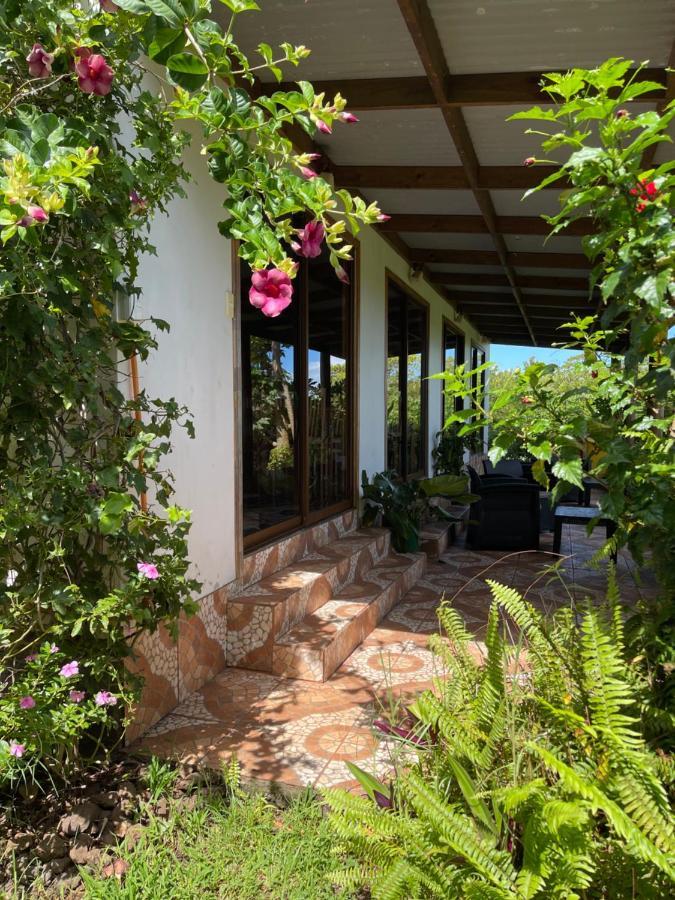 Teanehi Bed & Breakfast Hanga Roa Dış mekan fotoğraf