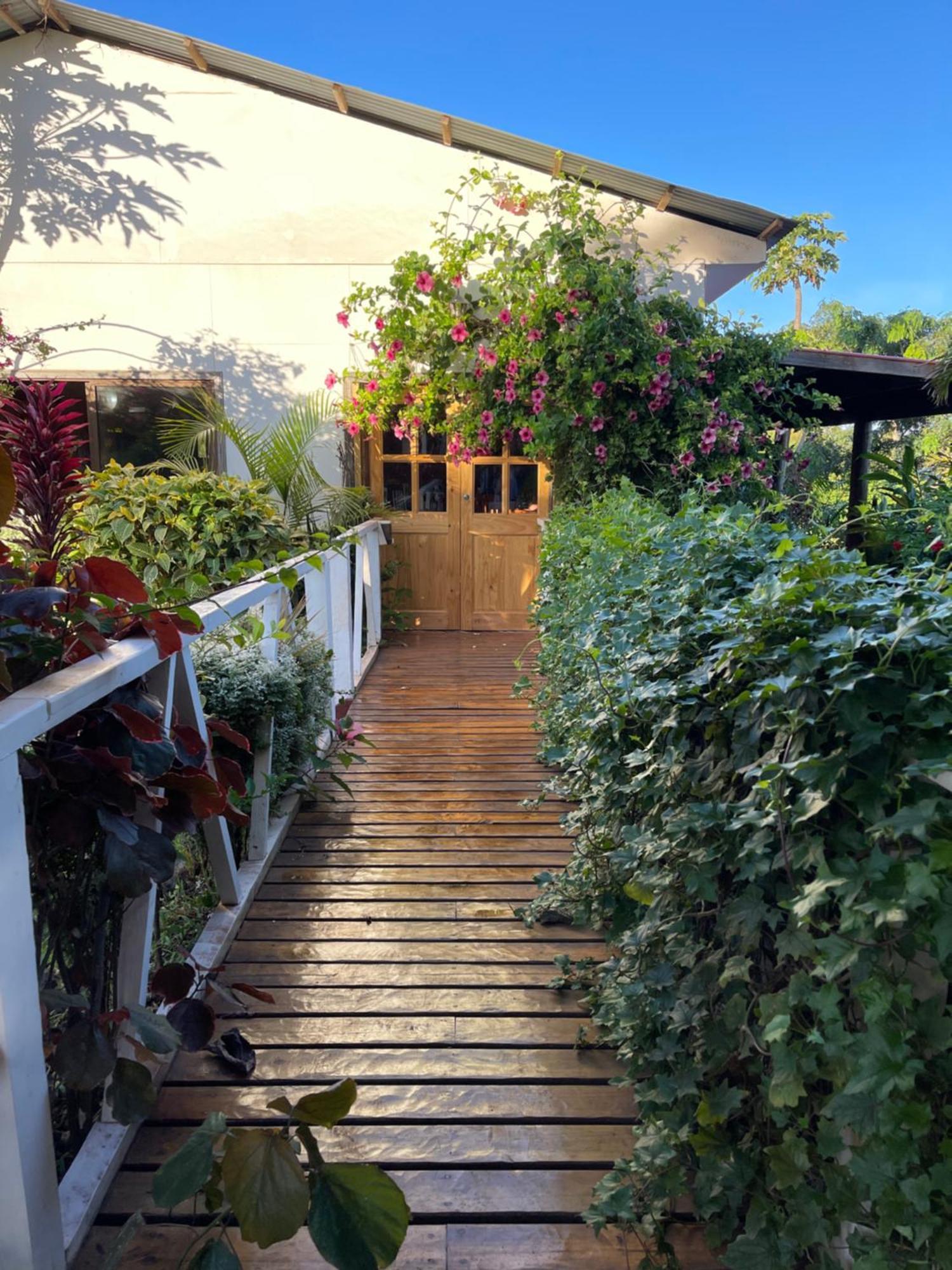Teanehi Bed & Breakfast Hanga Roa Dış mekan fotoğraf